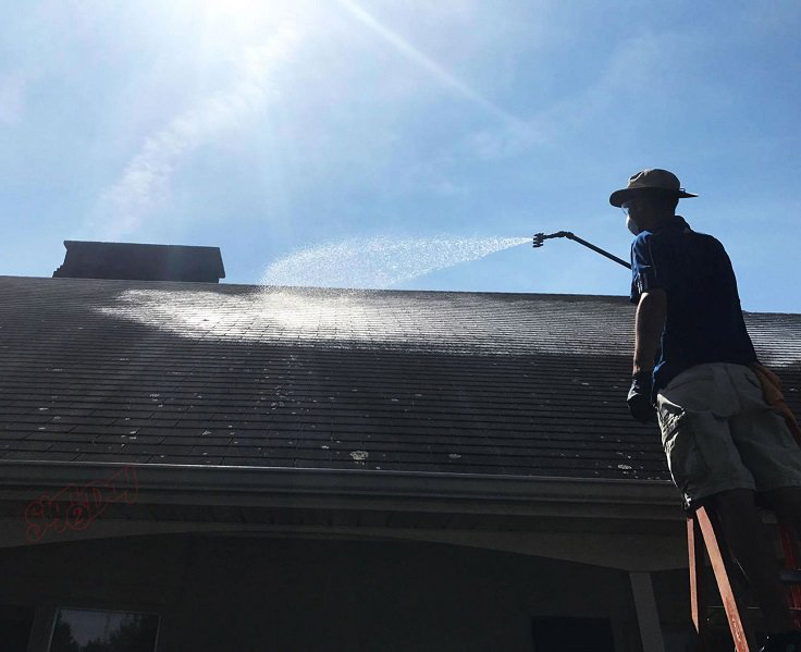 Soft Wash Roof Cleaning St Marys