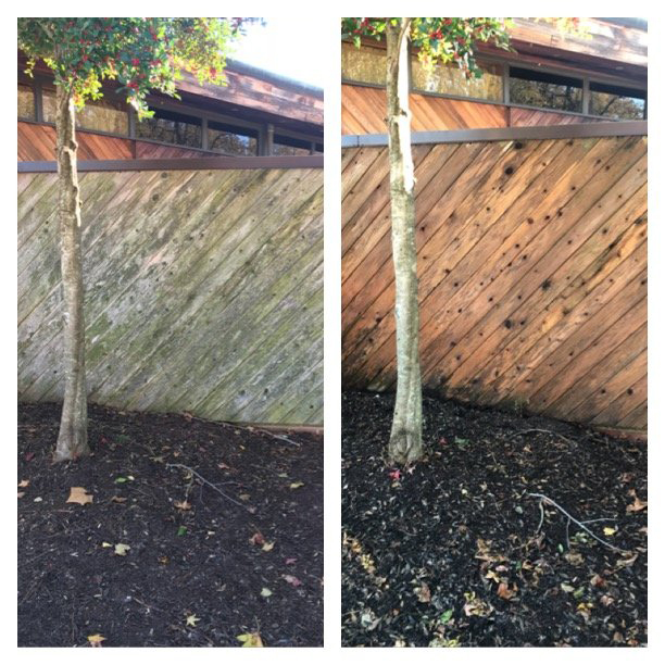 Wood Fence Before and After Cleaning St Marys
